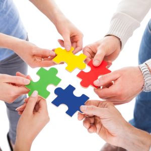profil Insights Discovery